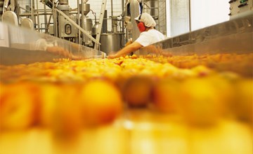 Agri-food | The Performance of Canada’s Food Manufacturing Industry