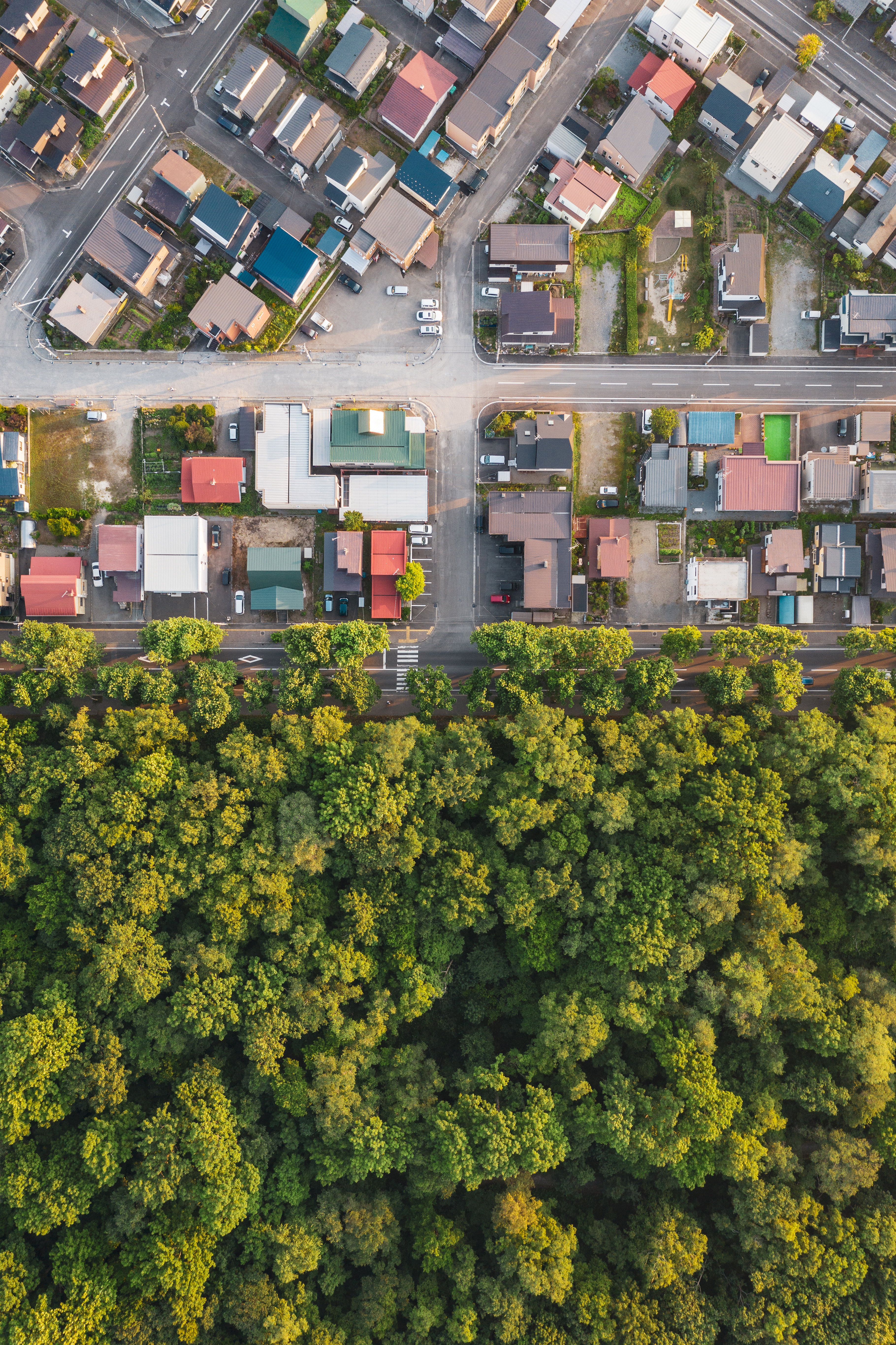 Aerial view of subdivision streets next to forested area