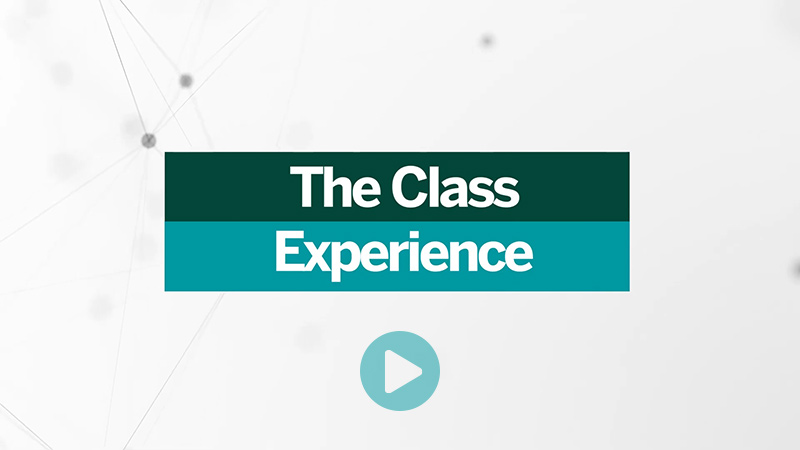 The Classroom Experience