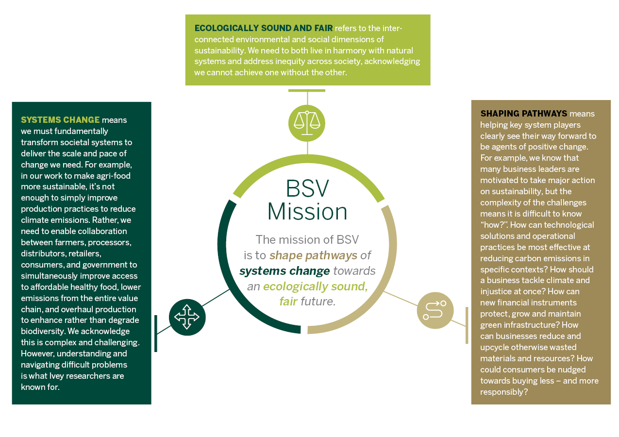BSV mission statement broken down into definitions