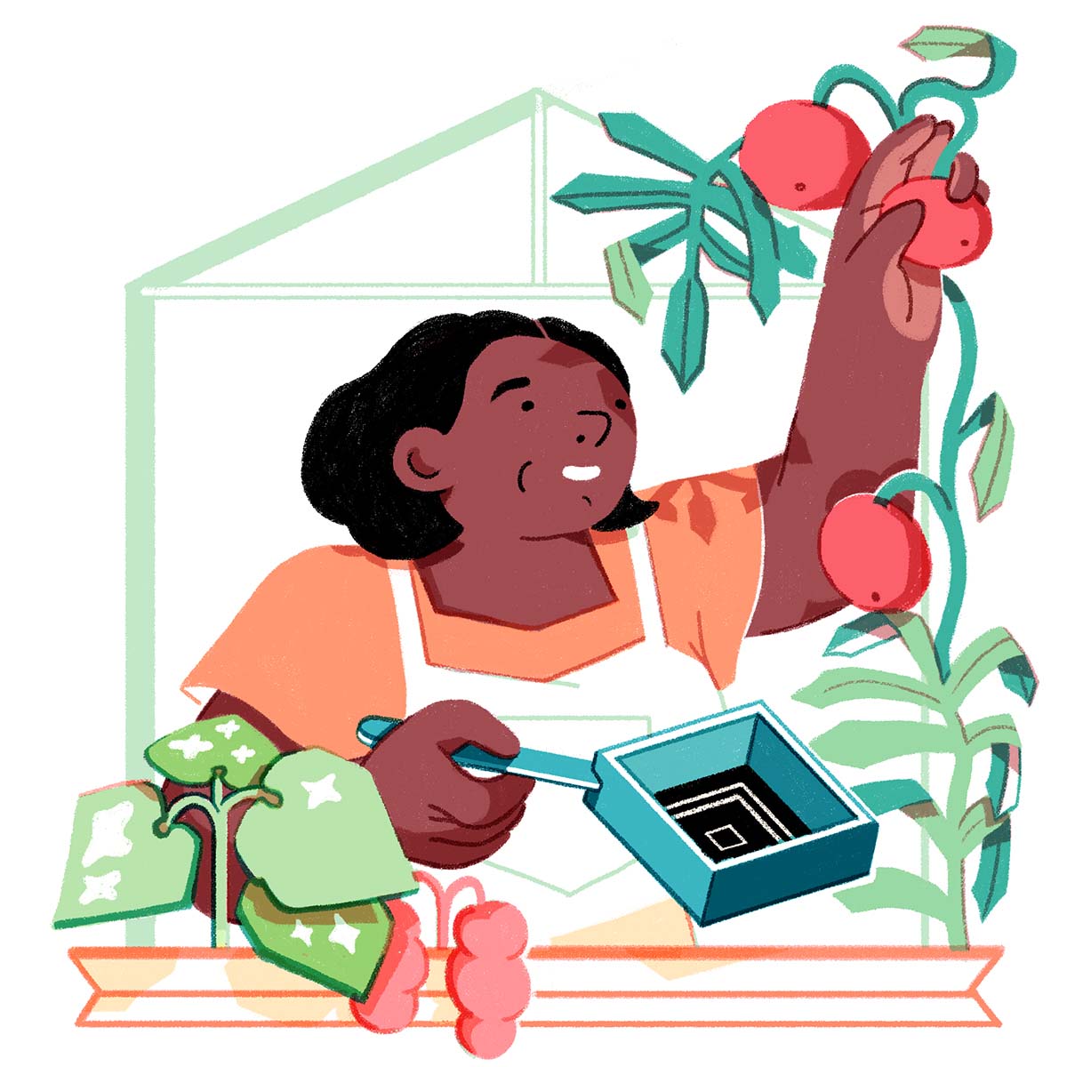 Jennifer Jones-Morales gathering oranges illustration