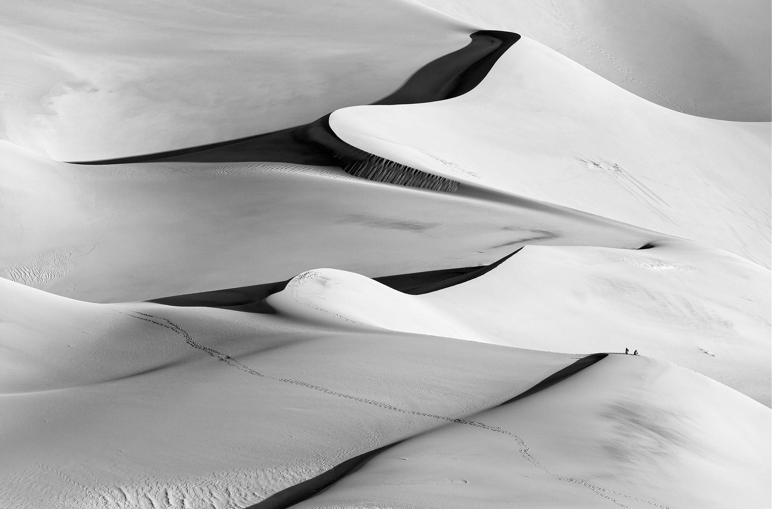 Bill work sand dunes photo.