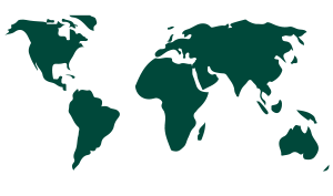 International Employment