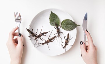 David Sparling | How a new wave of food entrepreneurs hope to persuade us to eat bugs