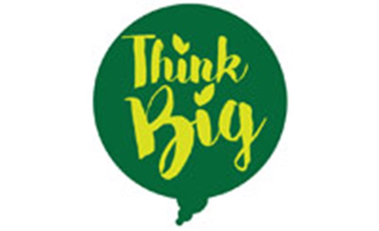 logo-think-big.jpg