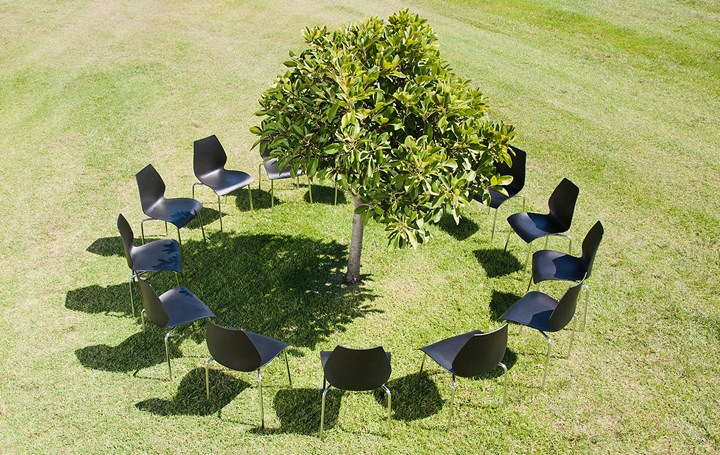 Chairs and tree