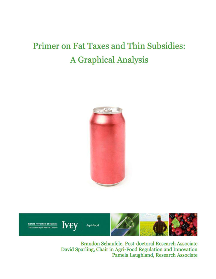 Primer on Fat Taxes and Thin Subsidies: A Graphical Analysis