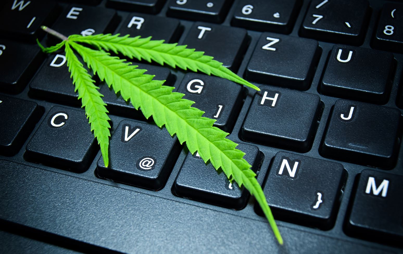Cannabis on computer keyboard