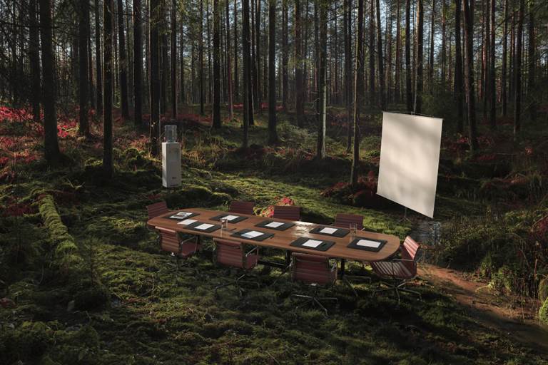 Conference Table In The Forest