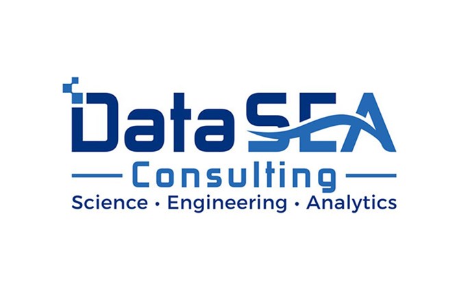 DataSEA Consulting