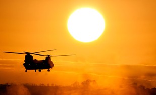 Chinook