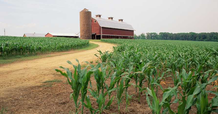 Ivey Business School announces landmark gift to advance regenerative agriculture research and practice