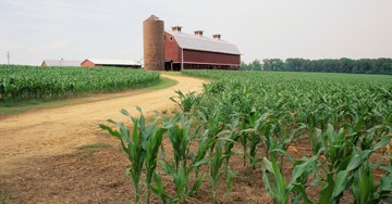 Ivey Business School announces landmark gift to advance regenerative agriculture research and practice