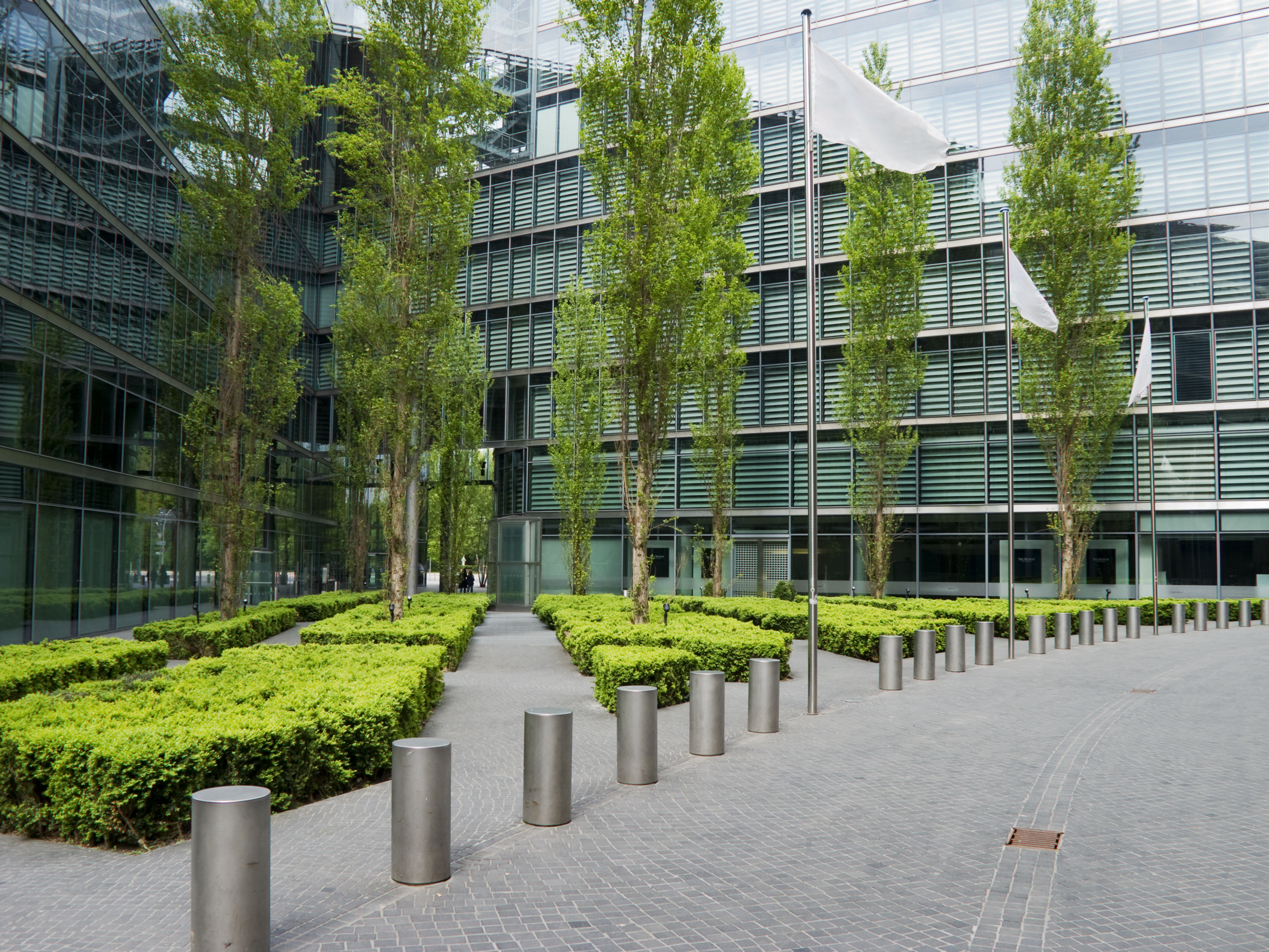 Decision -making For Sustainability