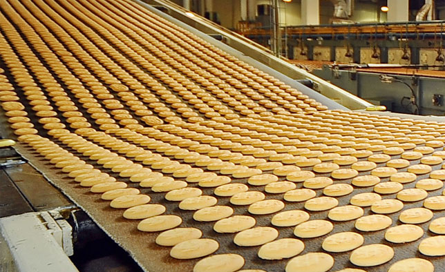 Thumb Fom2 Chapter 5