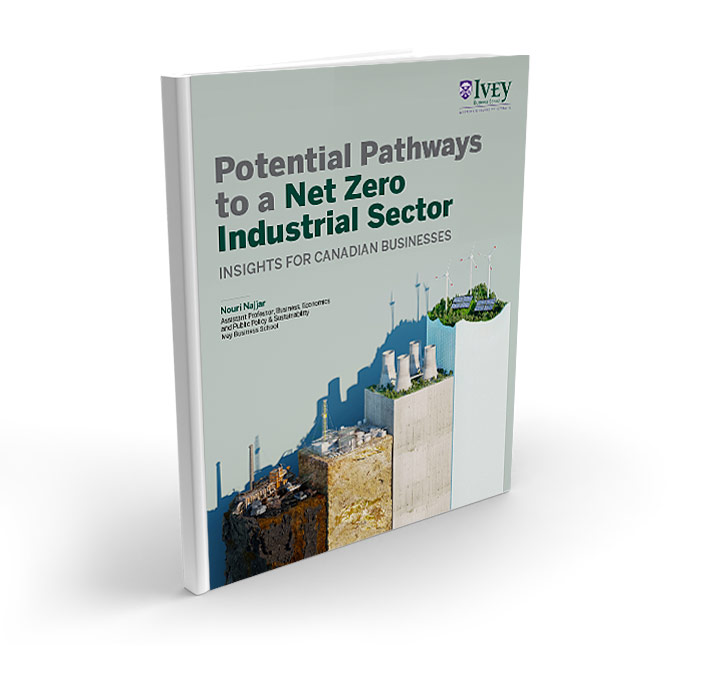 Potential Pathways to a Net Zero Industrial Sector 3D