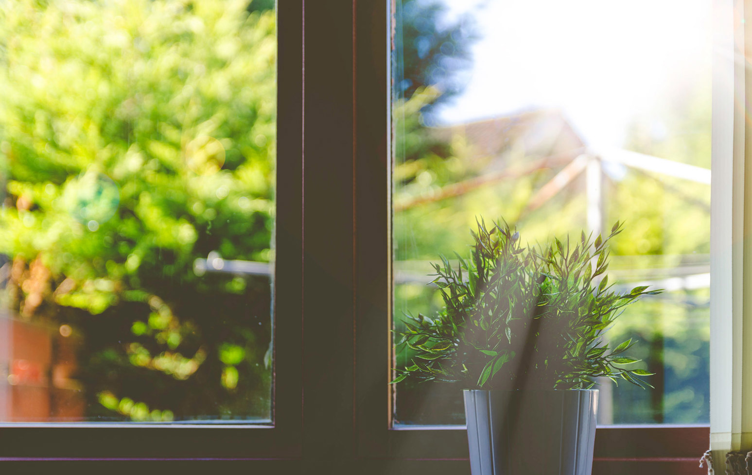 window
