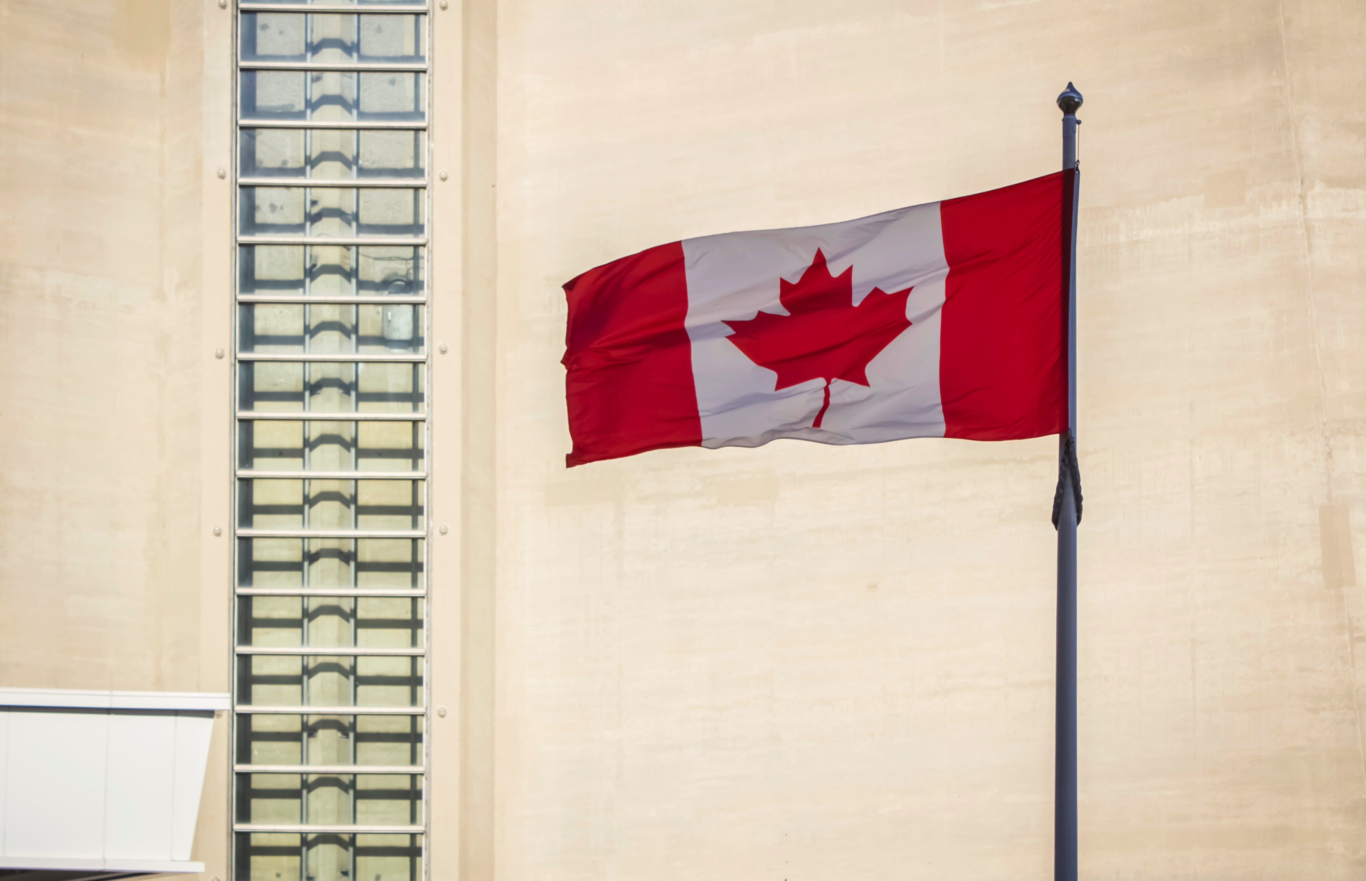 Photo by Cris DiNoto on Unsplash