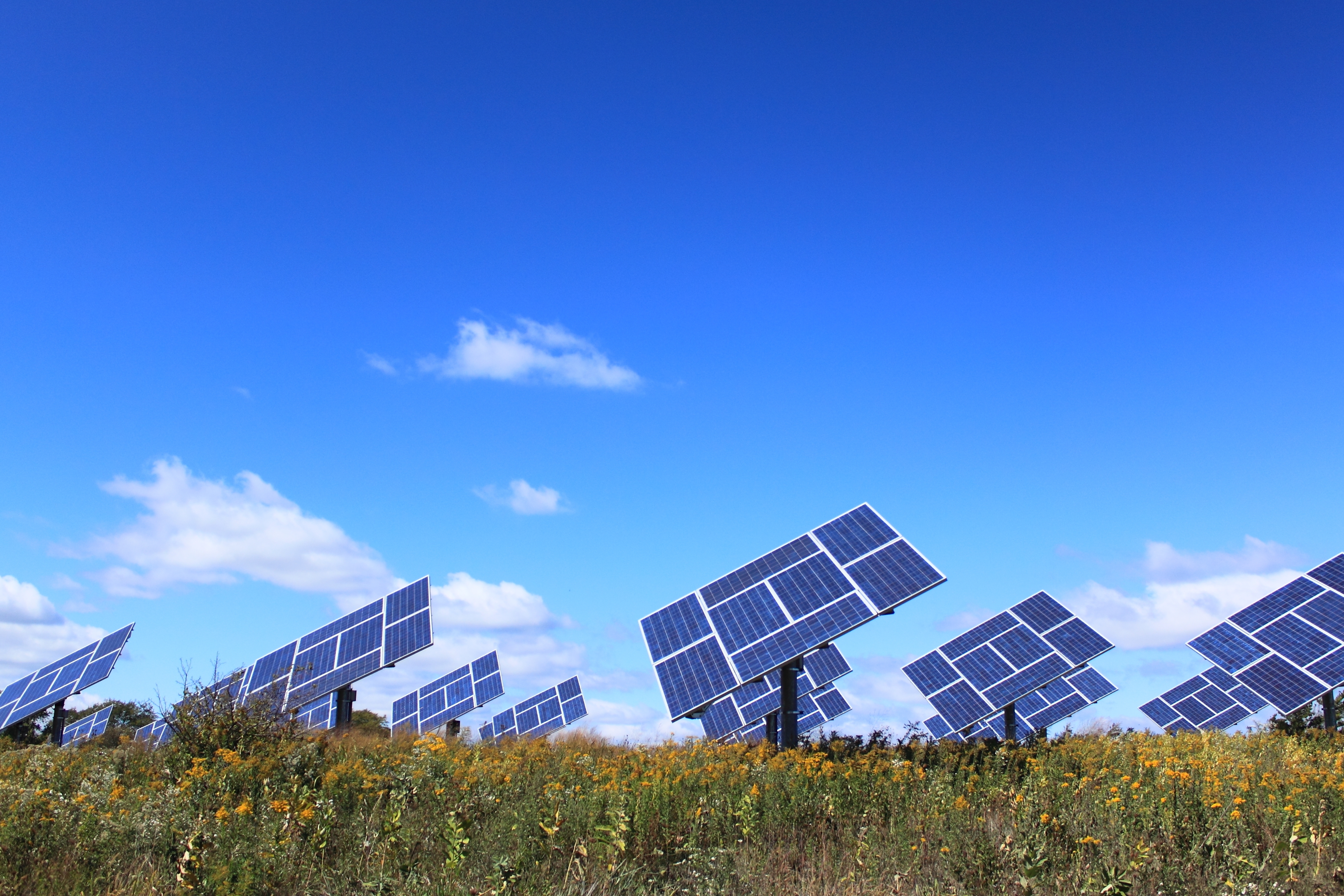 Solar panels in a field