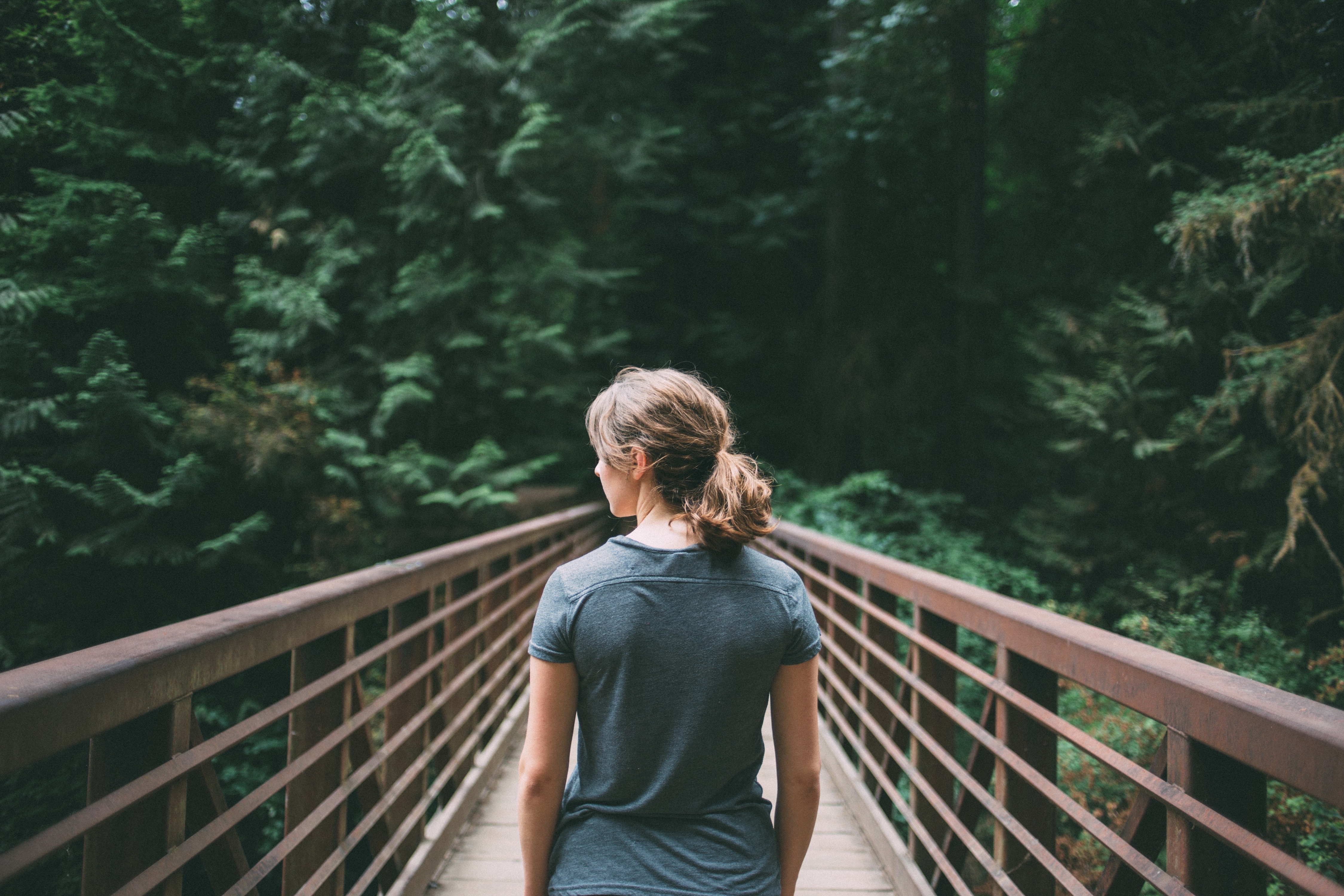A back shot of a woman on a bridge in a forest