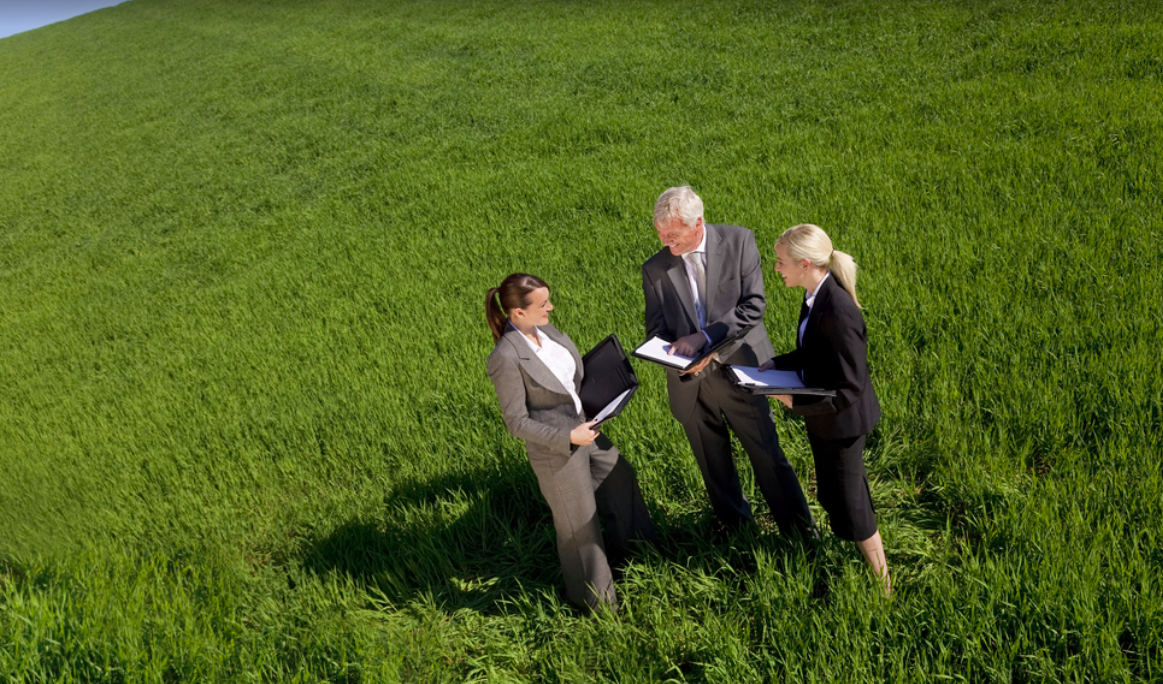 accountants in field.png