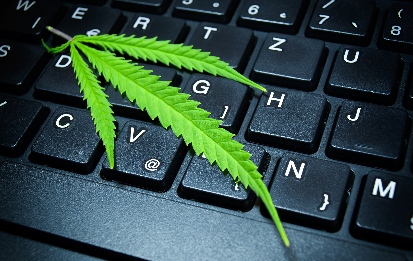 Cannabis on computer keyboard