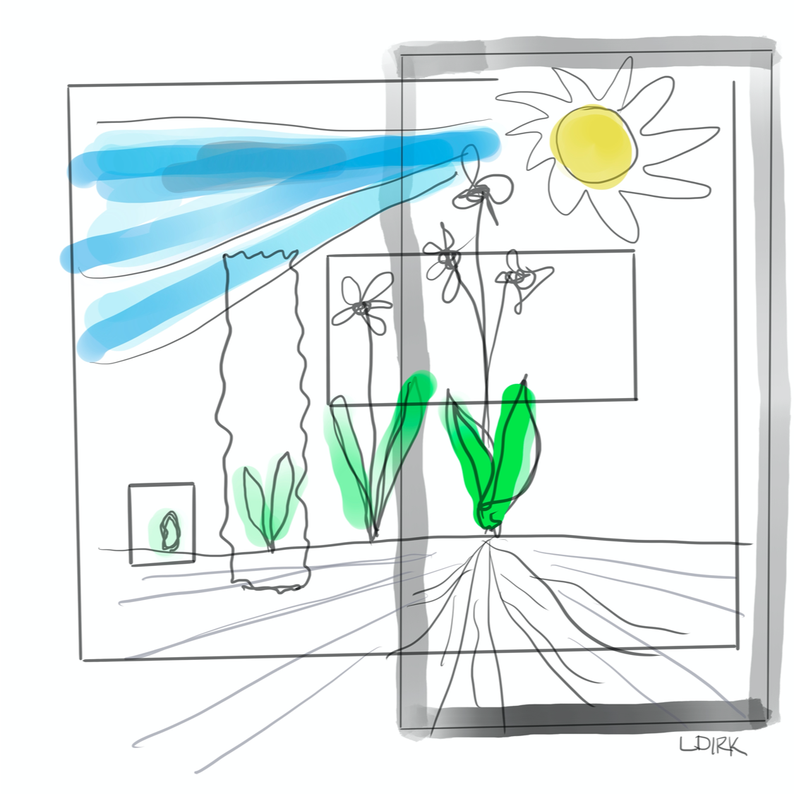 Illustration of sun, sky, and flowers with different boxes around sections of the illustration to represent the different frames we see things through