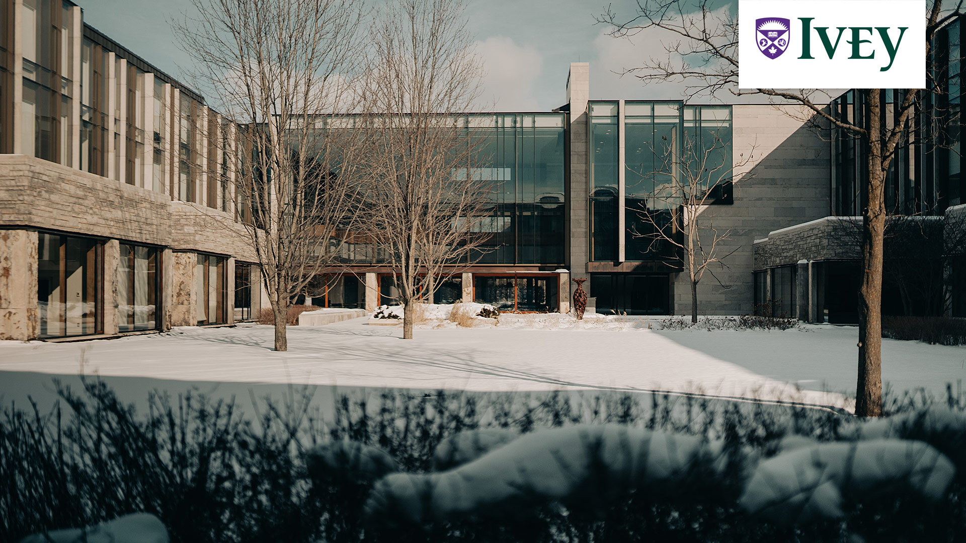 Standard zoom background image - Richard Ivey building Quad in the Winter