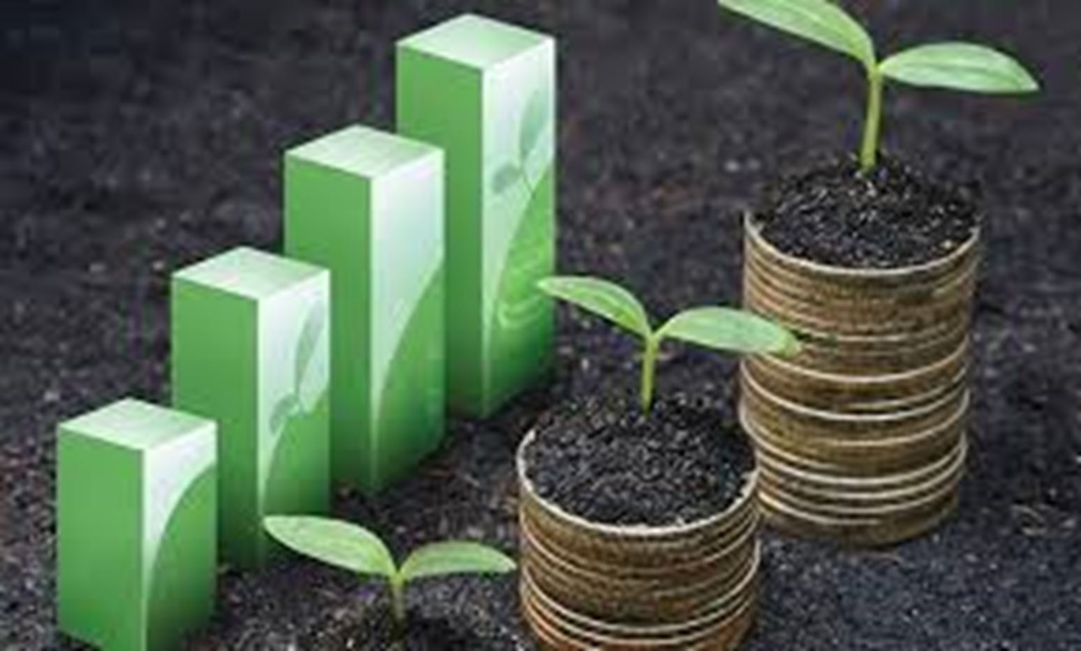 Sustainability1