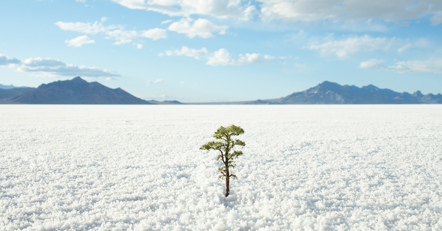 Resilience Blog Oct2021