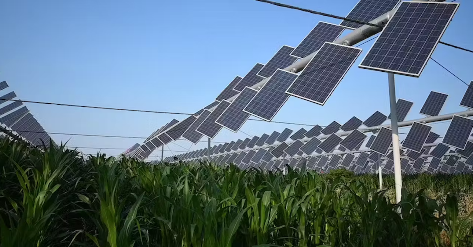 Solar panels overtop a farm field