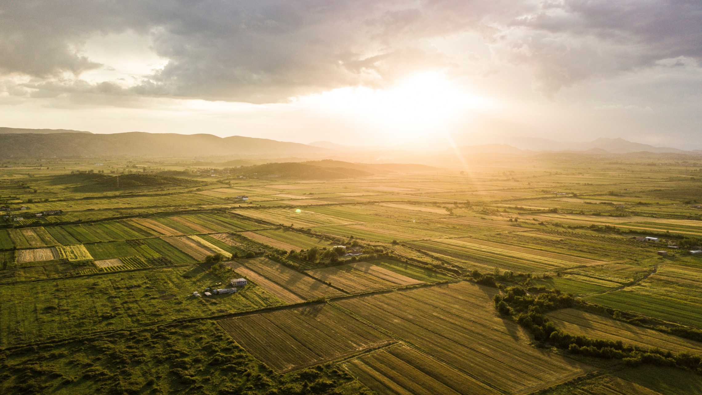 Collective Action for Regenerative Agriculture Program