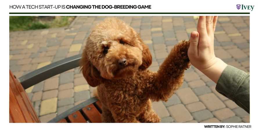 Paction: How a tech start-up is changing the Dog-Breeding game for the better
