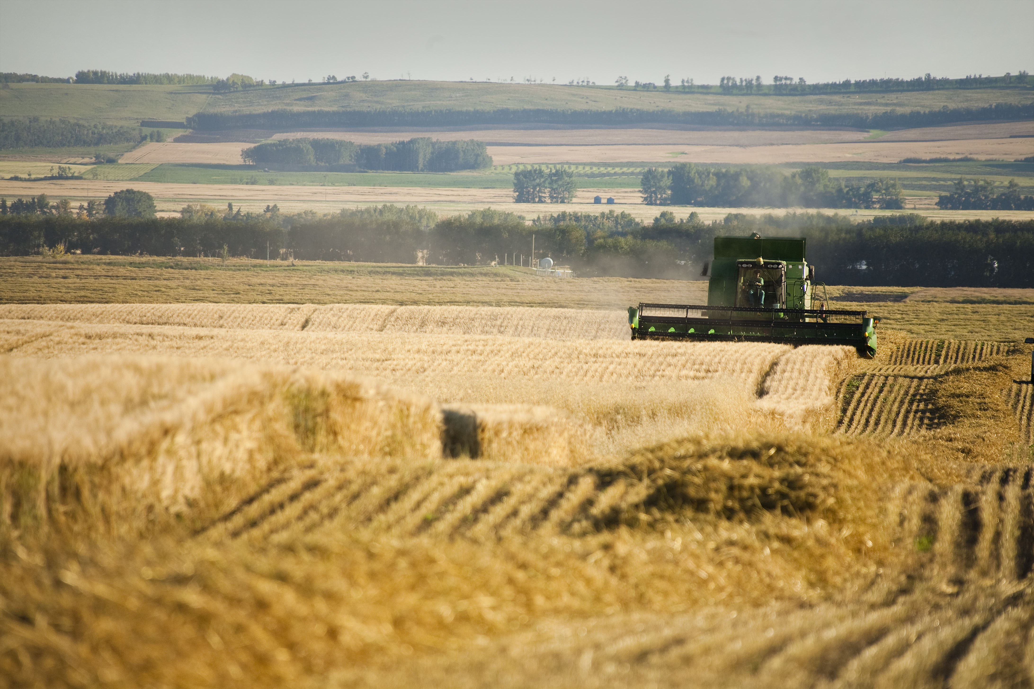 Machinery2