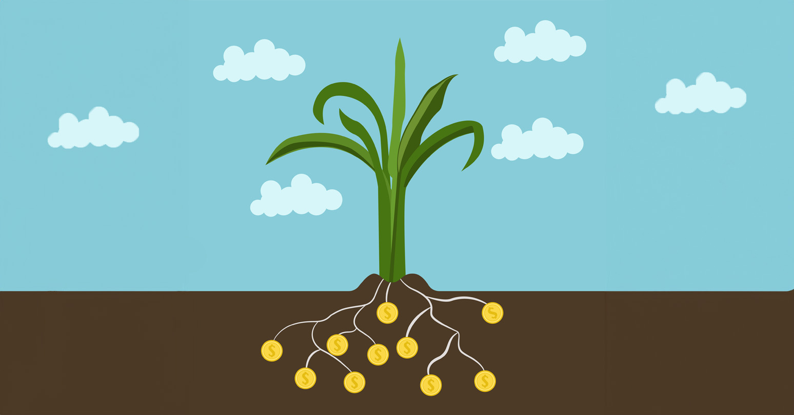 Regenerative Agriculture And Finance