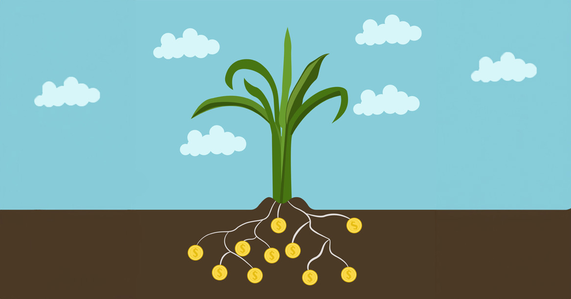 Regenerative Agriculture And Finance