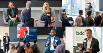 Navigating Corporate Sustainability in a Time of Turbulence