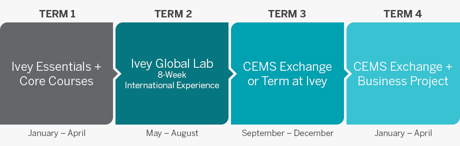 International Business + CEMS MIM Term Breakdown