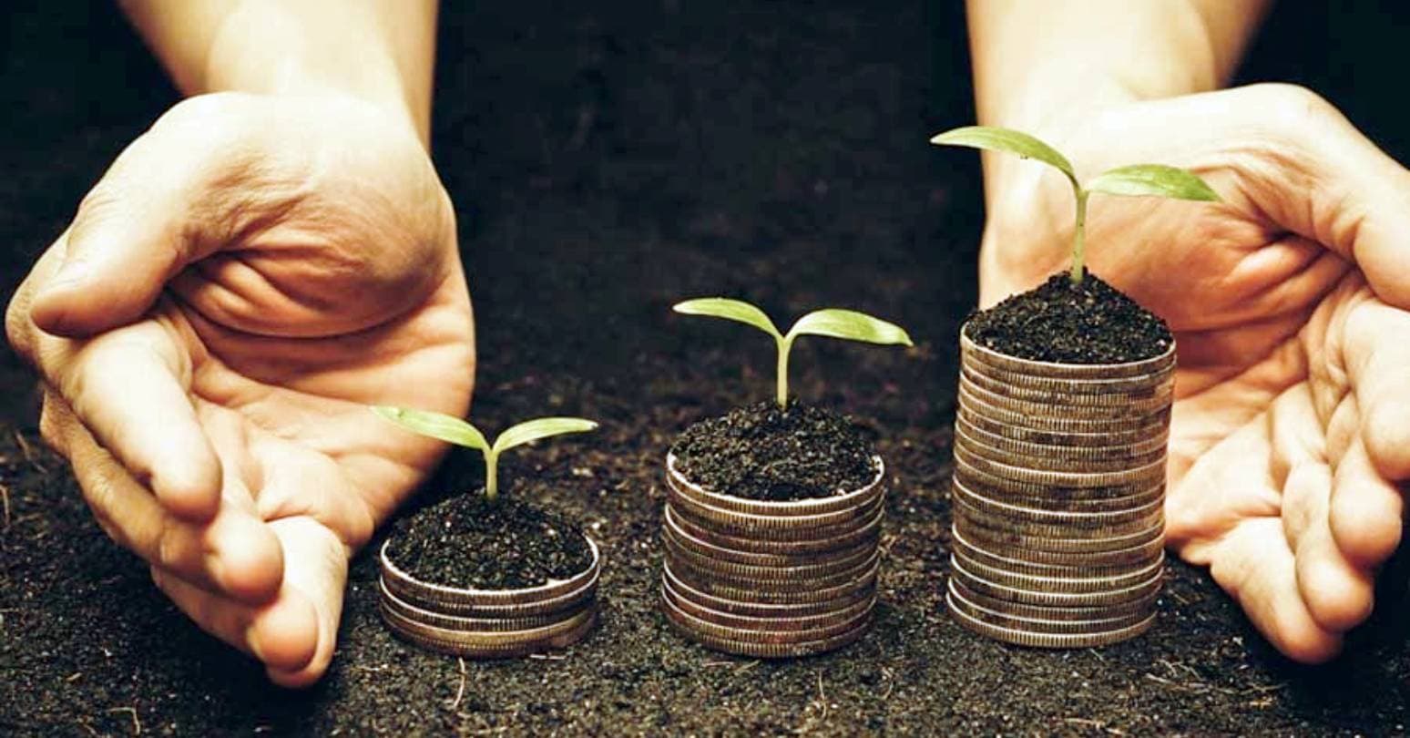 Vegan Industry Cover