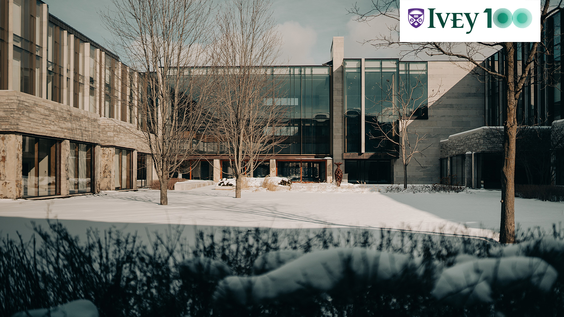 Standard zoom background image - Richard Ivey building Quad in the Winter