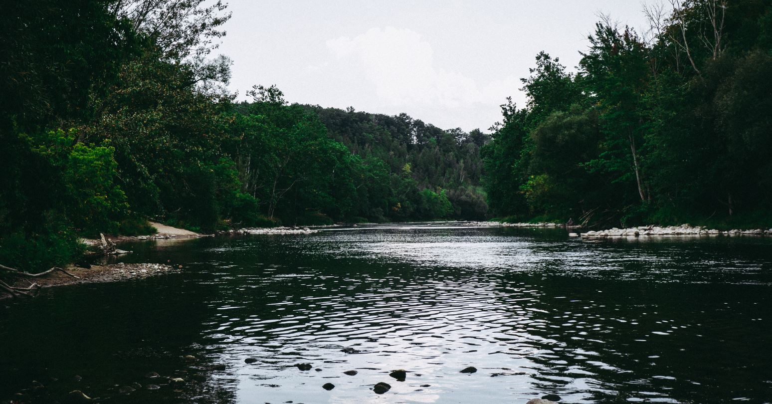 River with riverbanks and trees surrounding