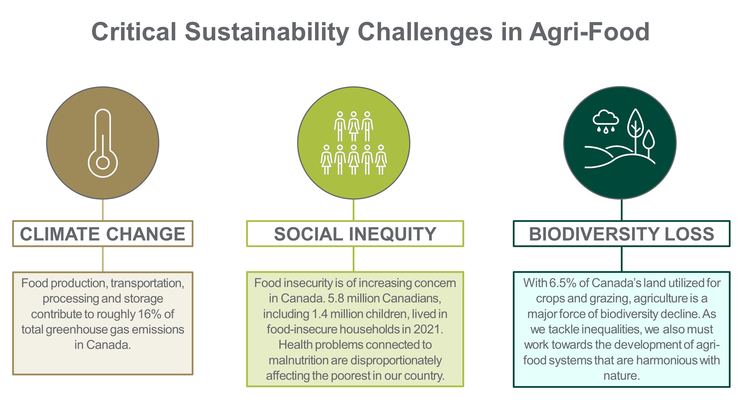 Critical sustainability issues of the agri-food industry include climate change, social inequity, and biodiversity loss