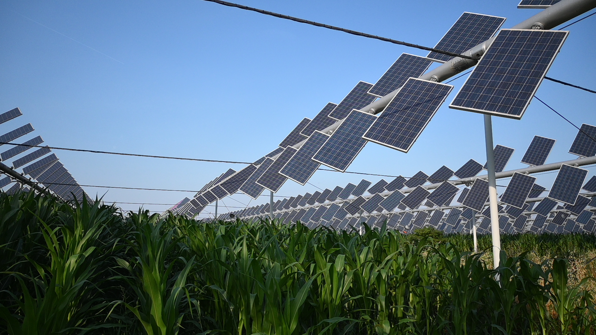 Annual Investment Survey Thumb