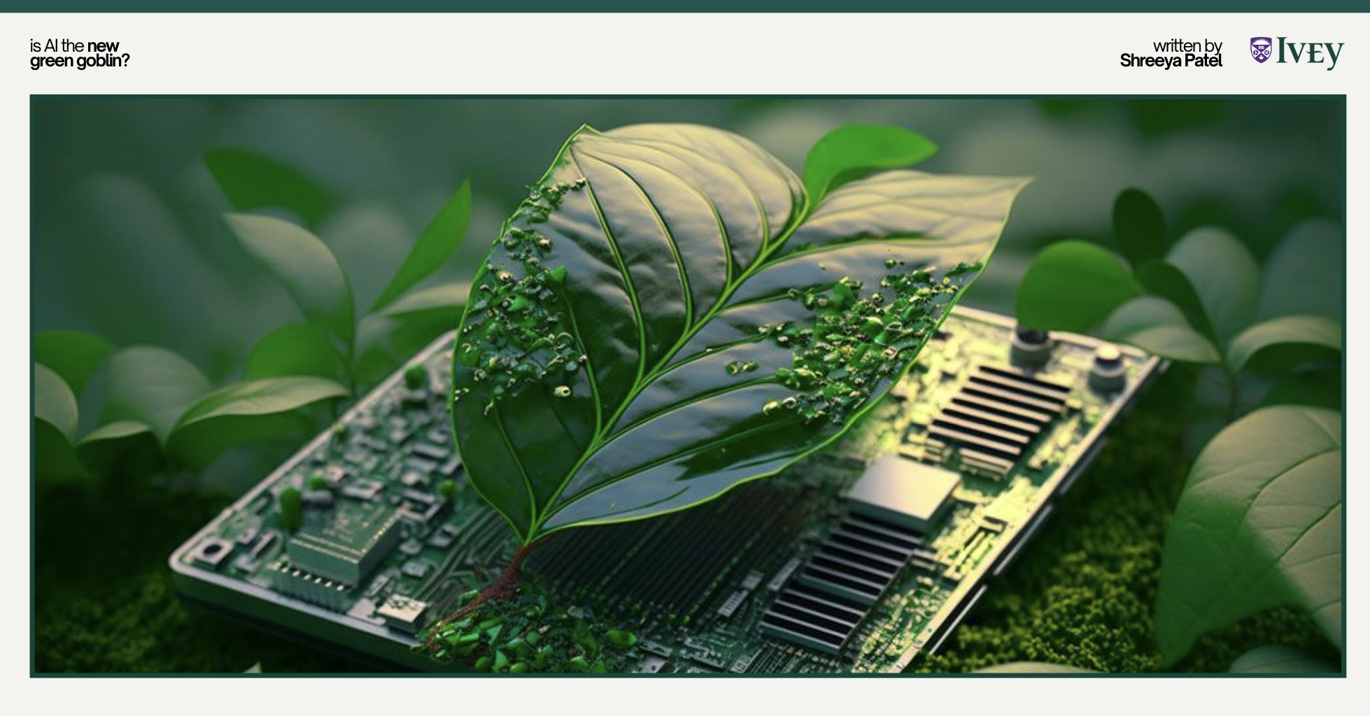 Screenshot 2025 02 09 At 11.39.55 AM