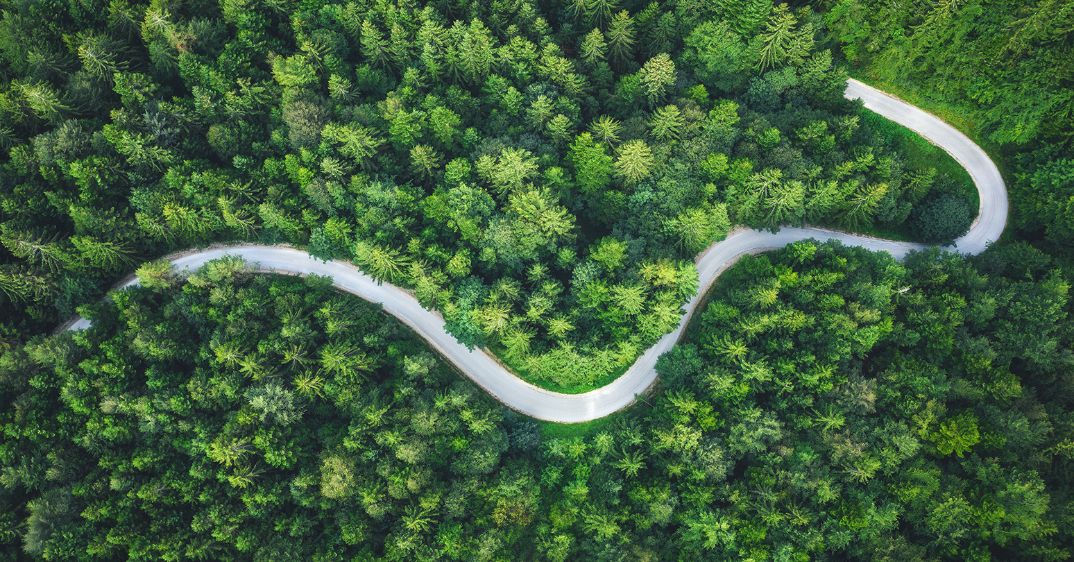 River Flowing Through Forest