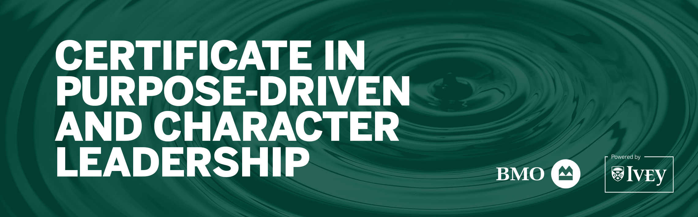 Certificate in Purpose-Driven and Character Leadership, Powered by Ivey