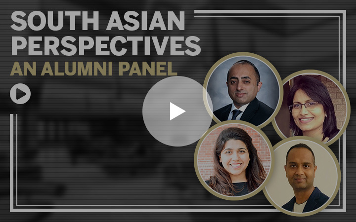South Asian Perspectives