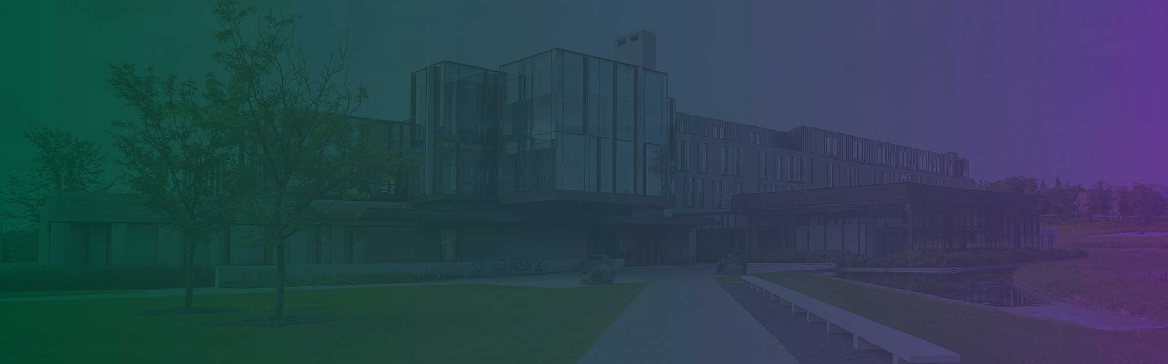 Graduate Diploma in Accounting