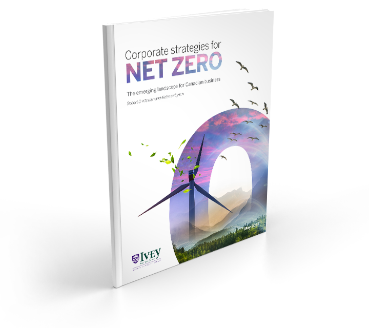 Corporate strategies for Net Zero cover