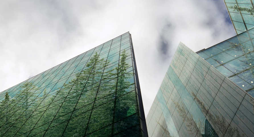 Key questions for a future Canadian Sustainability Standards Board ...